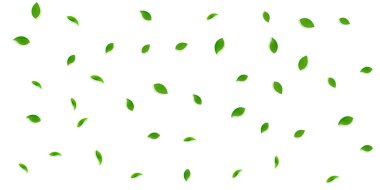 Düşen yeşil yapraklar. Taze çay rastgele yapraklar uçuşuyor