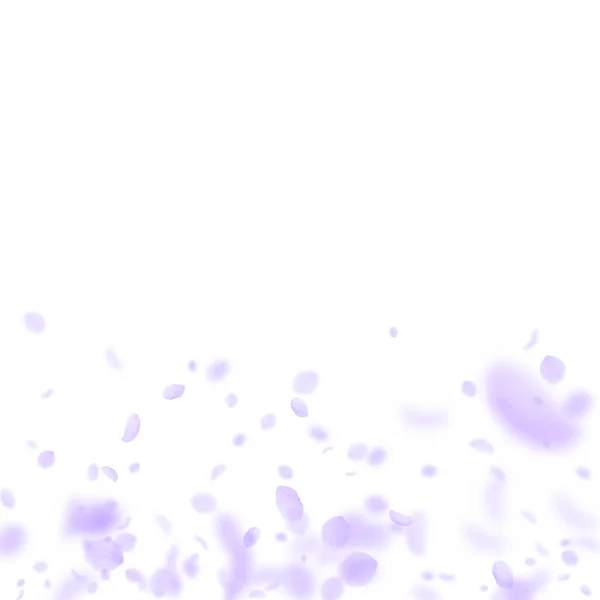 Pétalos de flores violetas cayendo. Romanti simpático — Vector de stock