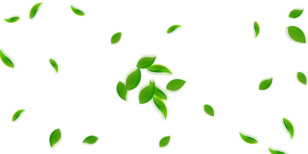 Падающие зеленые листья. Летают свежие листья чая — стоковый вектор