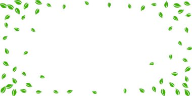 Düşen yeşil yapraklar. Taze çay rastgele yapraklar uçuşuyor