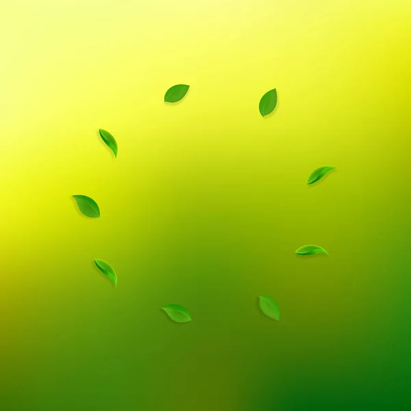 Hojas verdes cayendo. Té fresco hojas al azar flyi — Archivo Imágenes Vectoriales