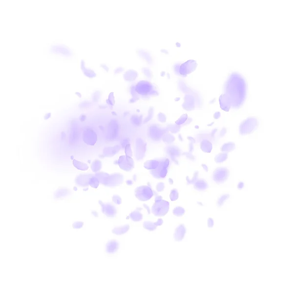 Pétalos de flores violetas cayendo. Rom simétrico — Archivo Imágenes Vectoriales