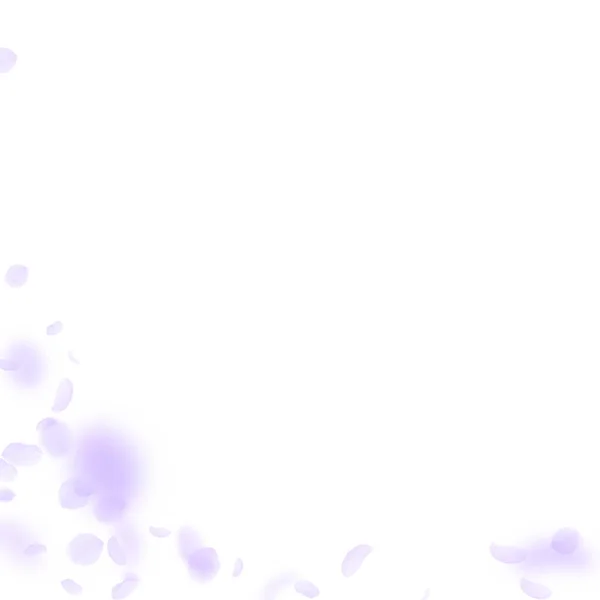Des pétales de fleurs violettes tombent. Décent romantique — Image vectorielle
