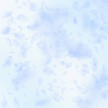 Açık mavi çiçek yaprakları dökülüyor. Büyüleyici ro