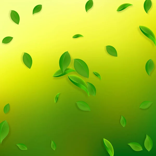 Hojas verdes cayendo. Té fresco hojas caóticas volar — Vector de stock