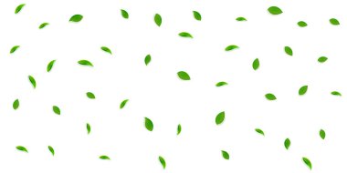 Düşen yeşil yapraklar. Taze çay rastgele yapraklar uçuşuyor