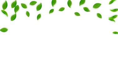 Düşen yeşil yapraklar. Taze çay, temiz yapraklar uçuşuyor.