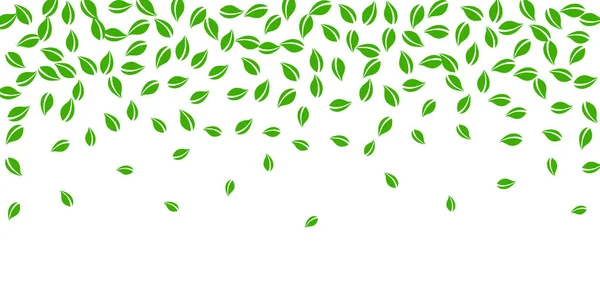 Zöldre hulló levelek. Friss tea véletlenszerű levelek flyi — Stock Vector