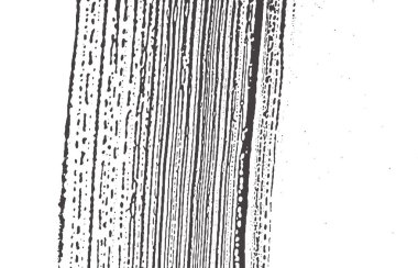 Grunge dokusu. Kederli siyah gri iz. A