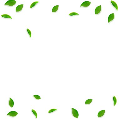 Düşen yeşil yapraklar. Taze çay rastgele yapraklar uçuşuyor