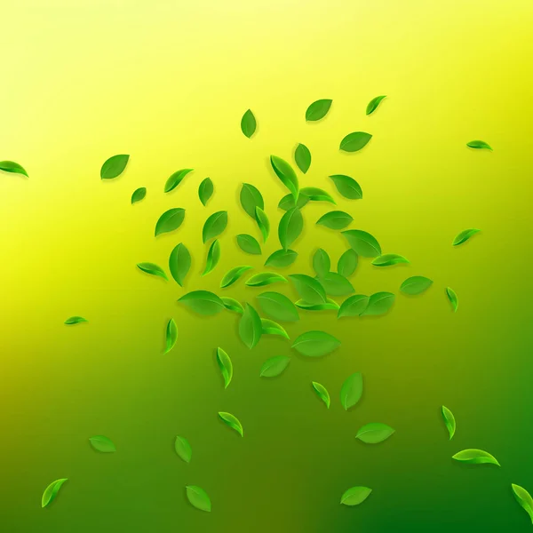 Hojas verdes cayendo. Té fresco hojas caóticas volar — Archivo Imágenes Vectoriales