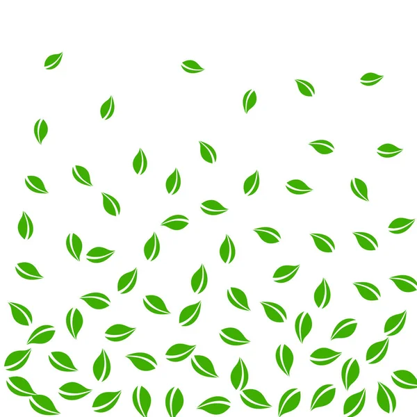 Foglie verdi cadenti. Tè fresco foglie casuali flyi — Vettoriale Stock
