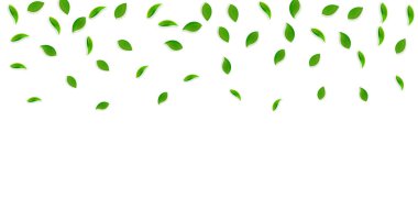 Düşen yeşil yapraklar. Taze çay rastgele yapraklar uçuşuyor