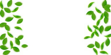 Düşen yeşil yapraklar. Taze çay, temiz yapraklar uçuşuyor.