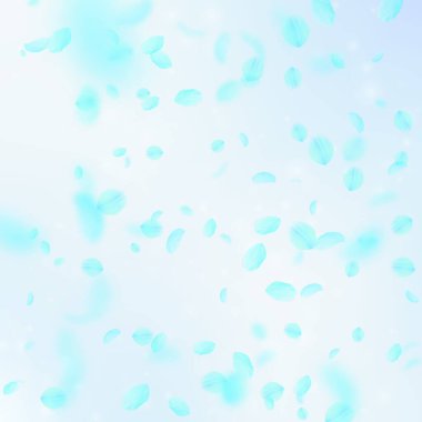 Turkuaz çiçek yaprakları dökülüyor. Pozitif rom