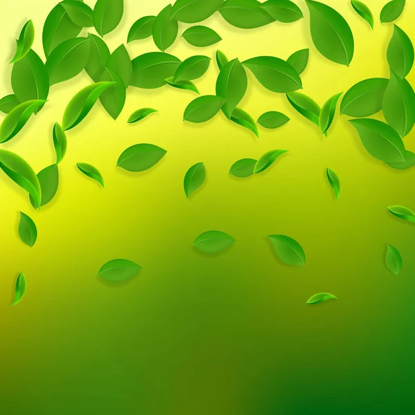 Folhas verdes a cair. Chá fresco caótico folhas voar — Vetor de Stock