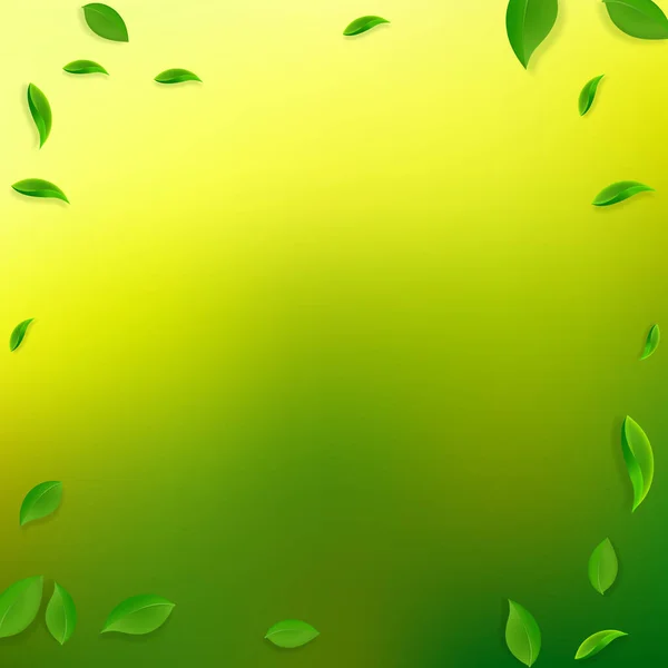 Padající zelené listí. Čerstvý čaj chaotické listy létat — Stockový vektor