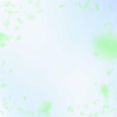 Yeşil çiçek yaprakları dökülüyor. Müthiş romantikti.