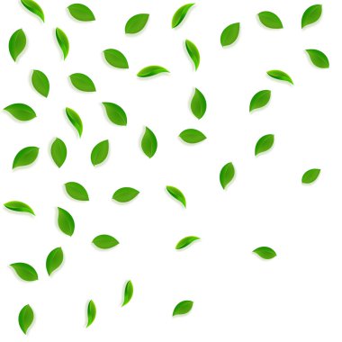 Düşen yeşil yapraklar. Taze çay rastgele yapraklar uçuşuyor