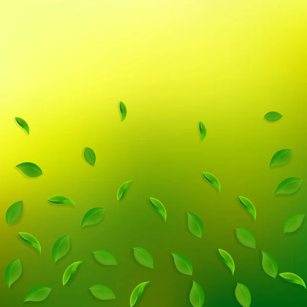 Padající zelené listí. Čerstvý čaj náhodné listí flyi — Stockový vektor