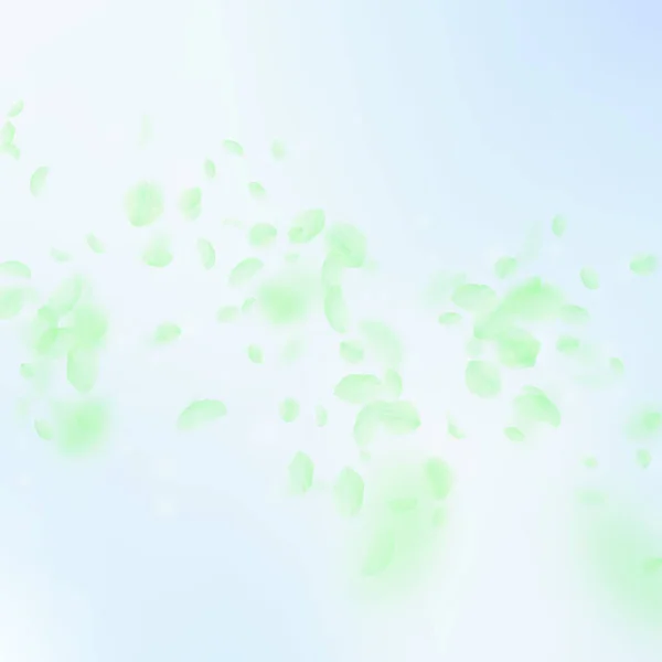 Groene bloemblaadjes vallen naar beneden. Fascinerende roma — Stockvector