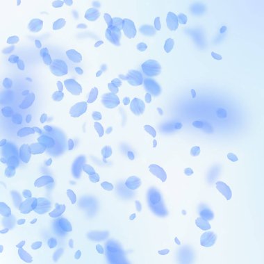 Koyu mavi çiçek yaprakları dökülüyor. Olağanüstü.