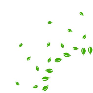 Düşen yeşil yapraklar. Taze çay rastgele yapraklar uçuşuyor