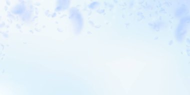 Açık mavi çiçek yaprakları dökülüyor. Optimal rom