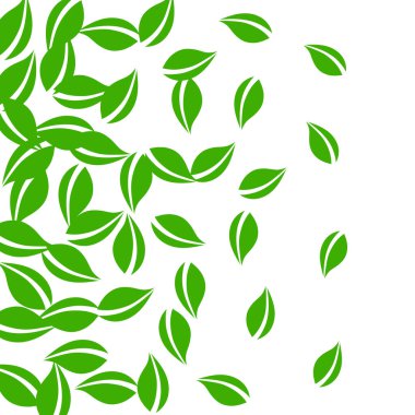 Düşen yeşil yapraklar. Taze çay, temiz yapraklar uçuşuyor.