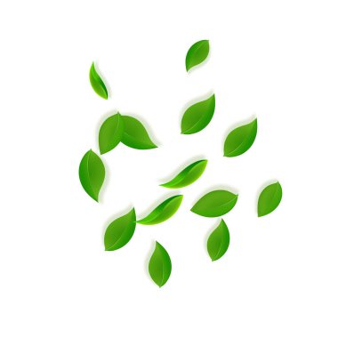 Düşen yeşil yapraklar. Taze çay, temiz yapraklar uçuşuyor.