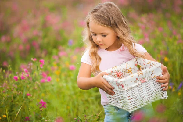 Tarlada sepeti tam og çiçekler ile çok sevimli küçük kız. — Stok fotoğraf