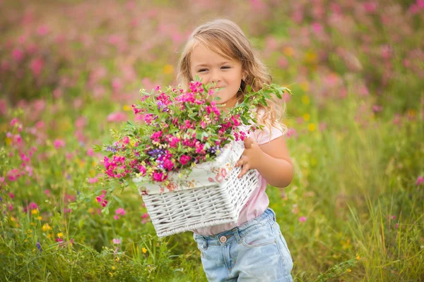 Tarlada sepeti tam og çiçekler ile çok sevimli küçük kız. — Stok fotoğraf