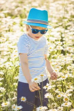 Papatya alan duygusal çocuk. Çiçekler çocuk