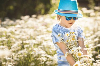 Papatya alan duygusal çocuk. Çiçekler çocuk