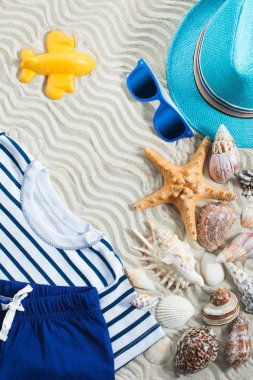 Deniz arka plan. Deniz kabukları ahşap arka plan üzerinde. Yaz