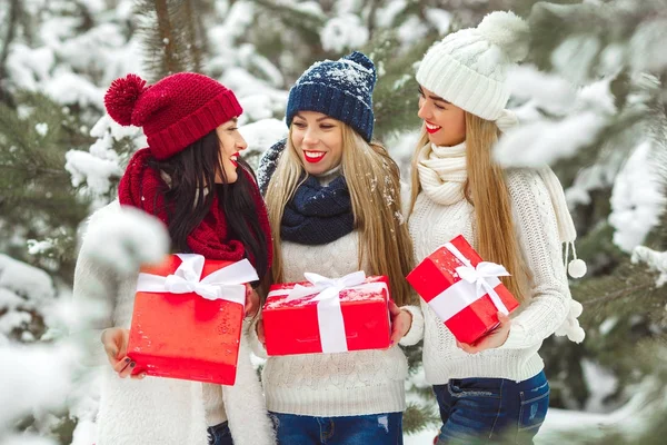Gruppo di belle ragazze invernali che ridono — Foto Stock