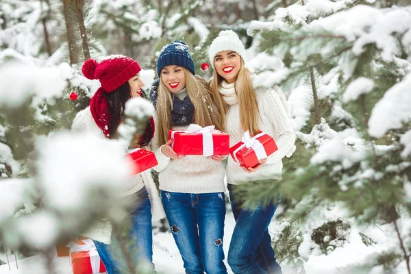 Gruppo di belle ragazze invernali che ridono — Foto Stock