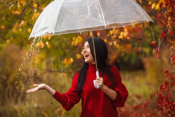 아름 다운 여 자가 들고 우산 — 스톡 사진