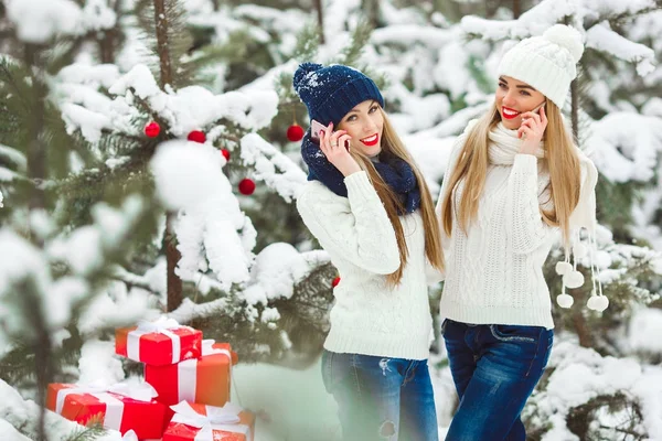 Belle fidanzate sullo sfondo invernale — Foto Stock