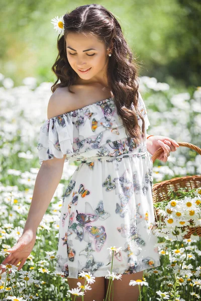 Young Brunette Woman Basket Chamomile Field — Stock Photo, Image