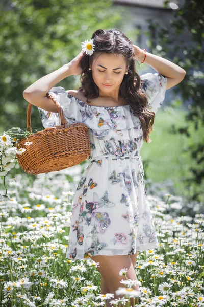 young brunette woman with basket in chamomile field