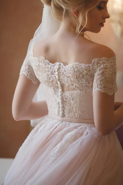 Vista Posteriore Della Sposa Elegante Abito Sposa — Foto Stock