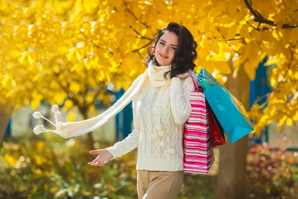 Cheerful Young Woman Doing Shopping Beautiful Girl Outdoors Autumn Background — Stock Photo, Image