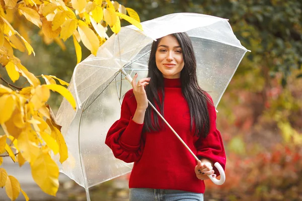 Őszi Park Esernyő Vidám Fiatal — Stock Fotó