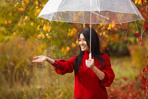 Joven Alegre Con Paraguas Parque Otoño — Foto de Stock