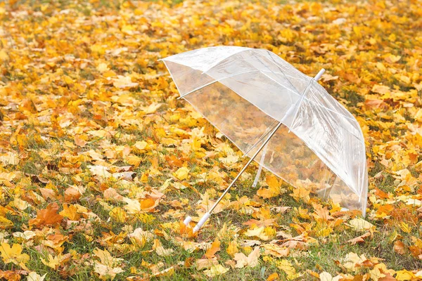 Paraply Hösten Lämnar Vacker Park — Stockfoto
