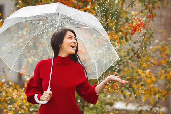 Joven Alegre Con Paraguas Parque Otoño —  Fotos de Stock