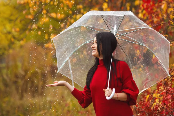 공원에서 우산을 — 스톡 사진