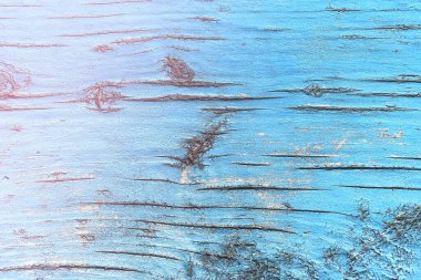 Ahşap arka plan. Ormanın resmini kapat..