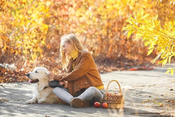Retrato Chica Rubia Atractiva Joven Con Perro Dueño Mascotas Golden —  Fotos de Stock